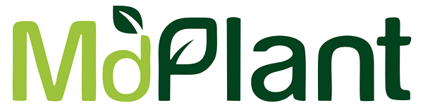 MdPlant